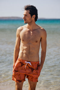 Men's Swim Shorts | Shells