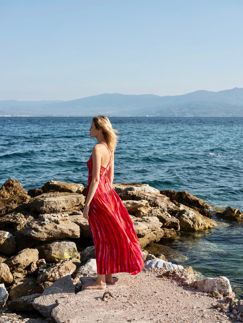 Maxi Pleated Skirt | Cherry Stripe