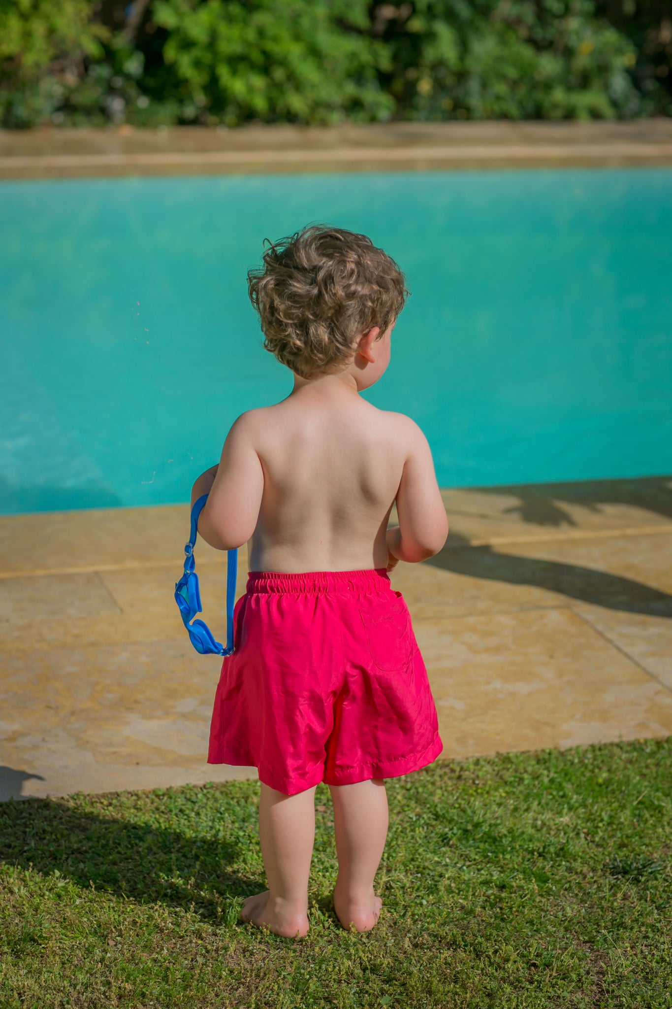 Kids Swim Shorts | Watermelon